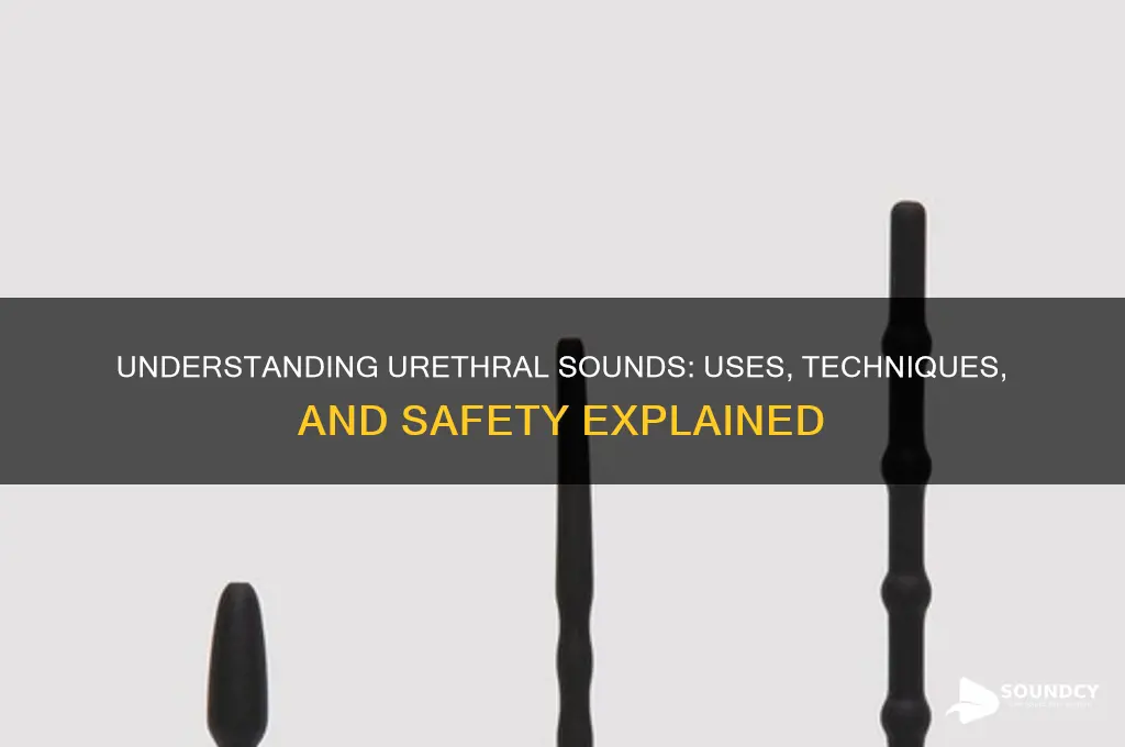 what is urethral sound for