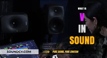 Understanding the Role and Impact of V in Sound Production