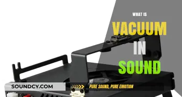 Understanding the Role of Vacuum in Sound Propagation and Absorption