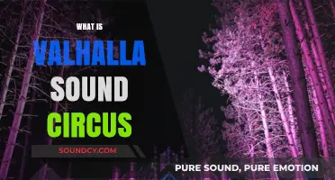 Unveiling Valhalla Sound Circus: A Musical Odyssey Like No Other