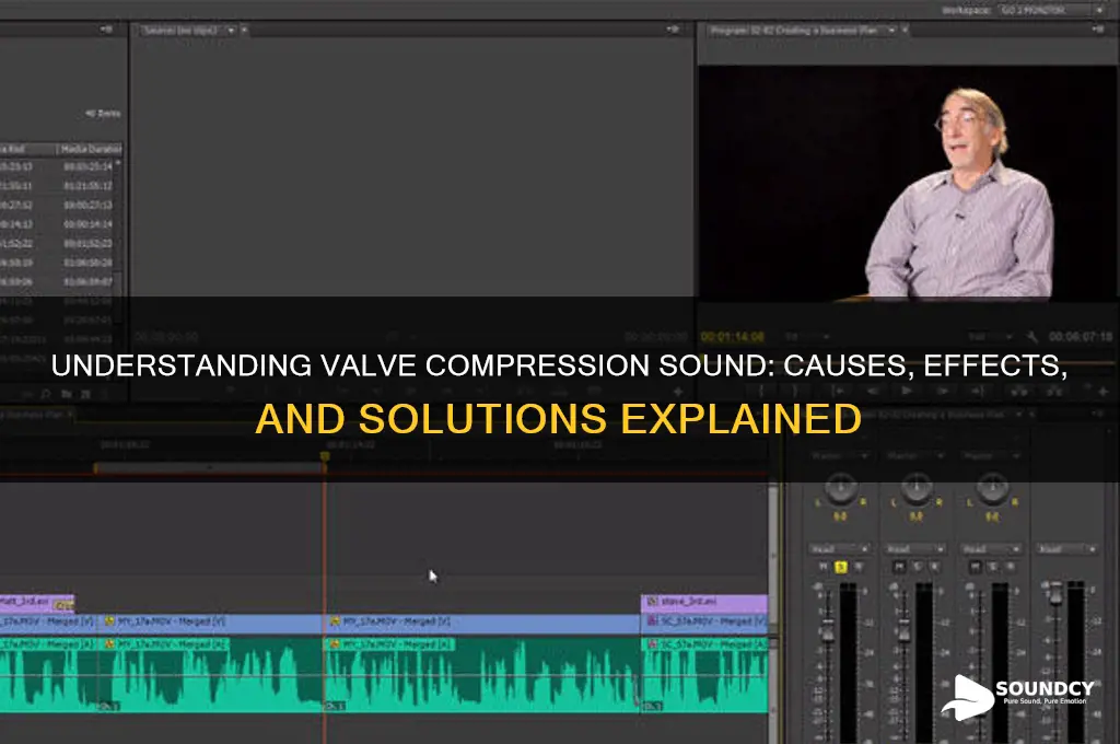what is valve compression sound