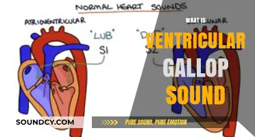 Understanding Ventricular Gallop Sound: Causes, Diagnosis, and Clinical Significance