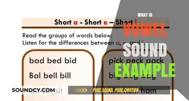 Understanding Vowel Sounds: Examples and Pronunciation Guide for Beginners
