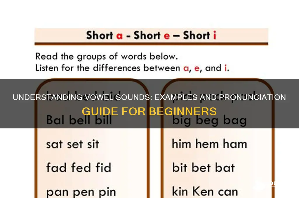 what is vowel sound example