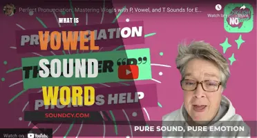 Understanding Vowel Sounds: A Comprehensive Guide to Word Pronunciation