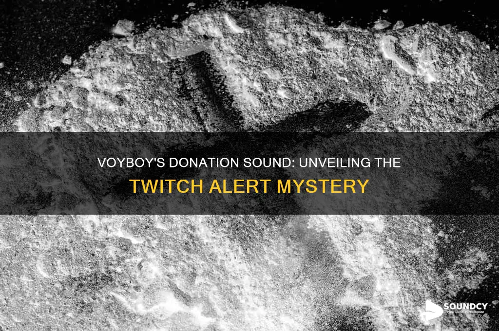 what is voyboys donation sound
