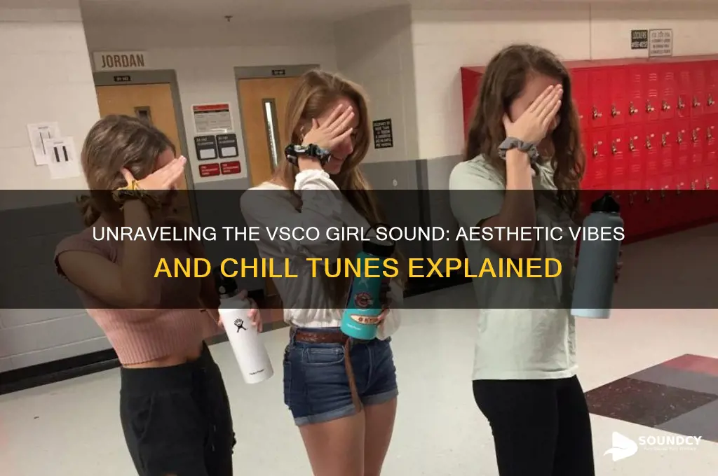 what is vsco girl sound