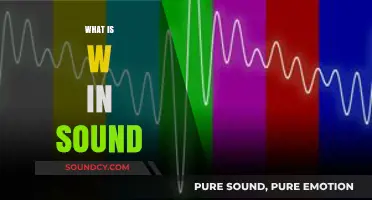 Understanding the Role of W in Sound: A Comprehensive Guide