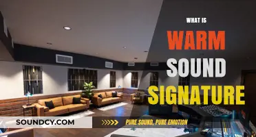 Understanding the Rich, Comfortable Tone of Warm Sound Signature