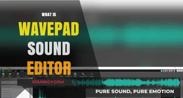 WavePad Sound Editor: A Comprehensive Audio Editing Tool Explained