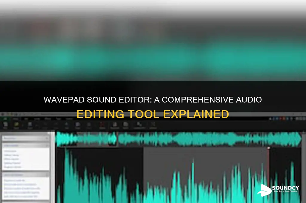 what is wavepad sound editor