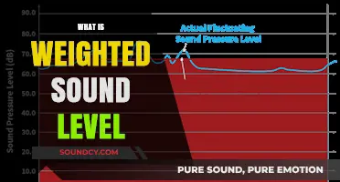 Understanding Weighted Sound Level: A Comprehensive Guide to Decibel Measurements