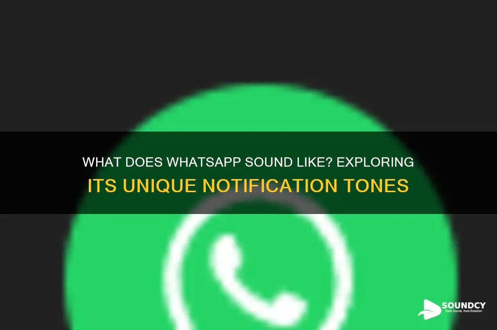 what is whatsapp sound like