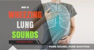 Understanding Wheezing: Decoding Abnormal Lung Sounds and Their Causes