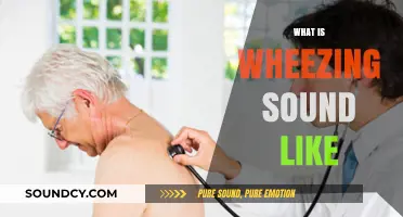 Understanding Wheezing: What Does That Whistling Sound Really Mean?