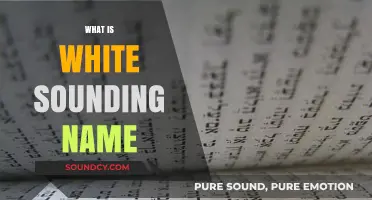 Understanding the Perception of White-Sounding Names in Society Today