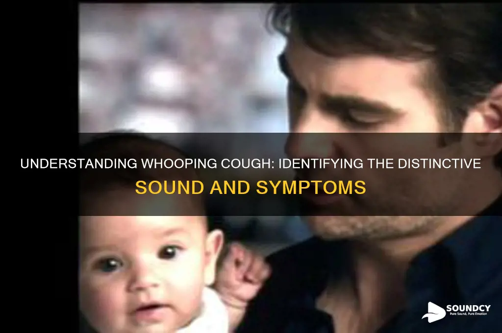 what is whooping cough sound