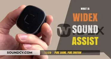 Widex Sound Assist: Enhancing Hearing Experience with Advanced Technology