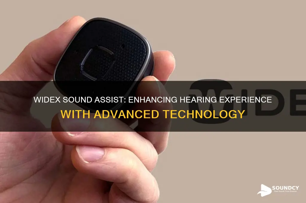 what is widex sound assist
