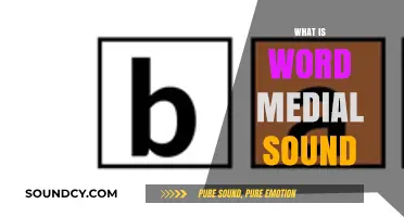 Understanding Word Medial Sounds: Definition, Examples, and Importance in Phonics