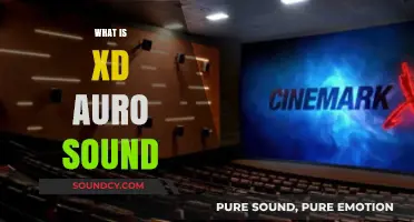 Exploring XD Auro Sound: Immersive Audio Technology Explained