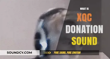 Understanding the XQC Donation Sound: Origins, Impact, and Community Reaction