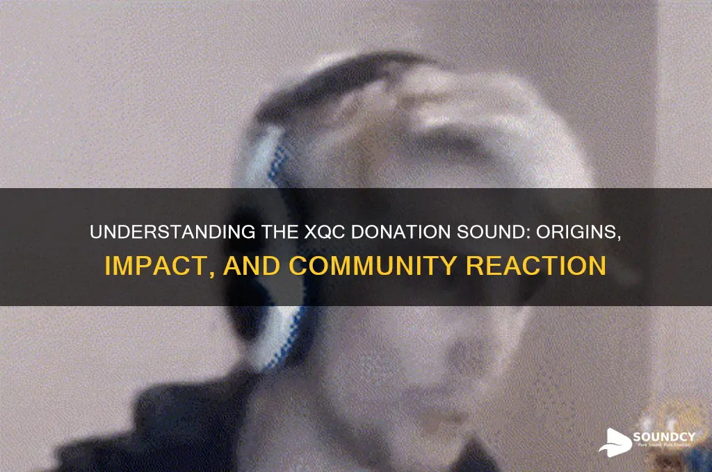 what is xqc donation sound