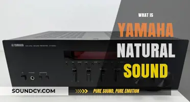 Yamaha Natural Sound: Unveiling the Acoustic Philosophy Behind the Brand