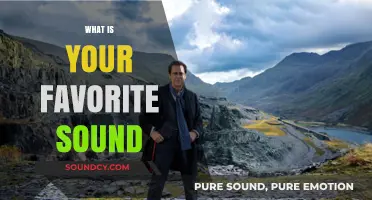 The Symphony of Life: Unveiling the Sounds That Stir Our Souls