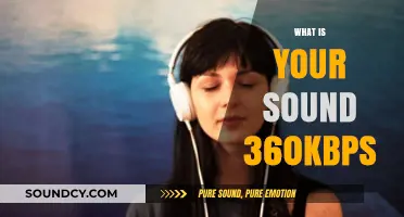 Discover Your Unique Sound: Understanding 360kbps Audio Quality