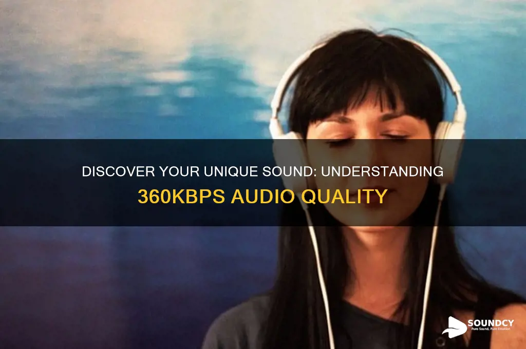 what is your sound 360kbps