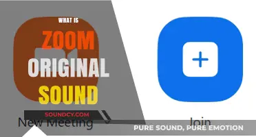 Enhance Your Zoom Audio: Understanding and Using Original Sound Feature