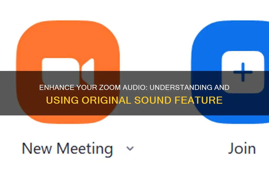 what is zoom original sound
