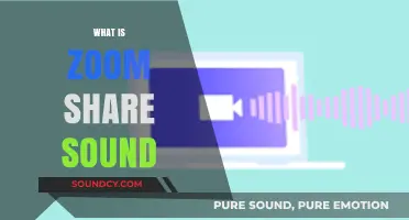 Understanding Zoom's Share Sound Feature: Enhancing Virtual Meetings with Audio Sharing