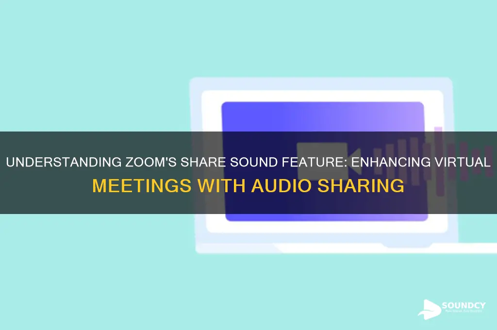 what is zoom share sound