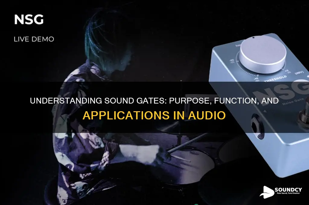 what isa sound gate for