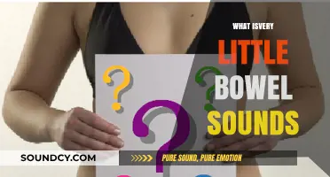 Understanding Very Little Bowel Sounds: Causes, Symptoms, and When to Worry