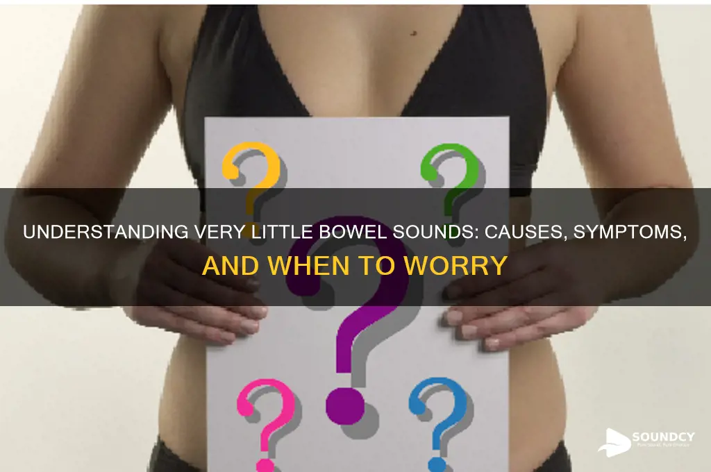 what isvery little bowel sounds