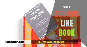 What It Sounds Like: Exploring the Auditory World of Books