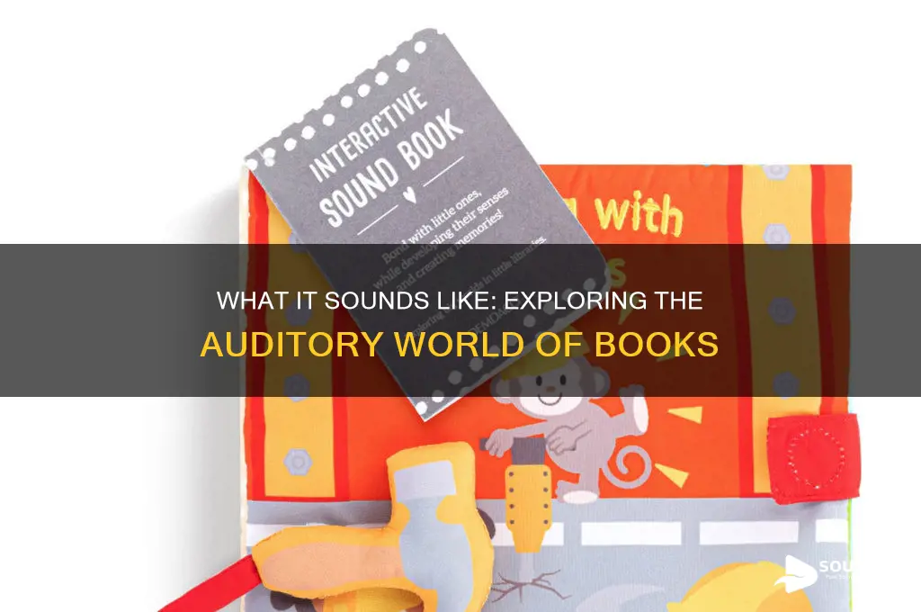 what it sounds like book