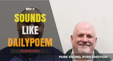 DailyPoem's Sonic Journey: Exploring the Sounds of Daily Poetry