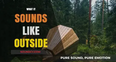 The Symphony of Nature: Exploring What It Sounds Like Outside