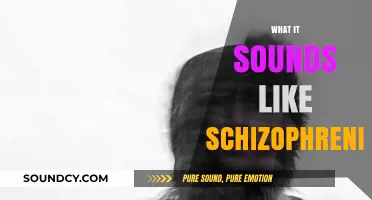 Hearing the Unseen: Understanding the Auditory World of Schizophrenia