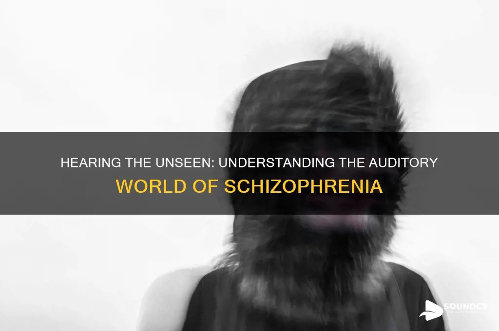 what it sounds like schizophrenia