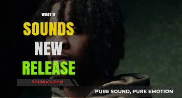 What's New in Music: Latest Release Sounds and Trends