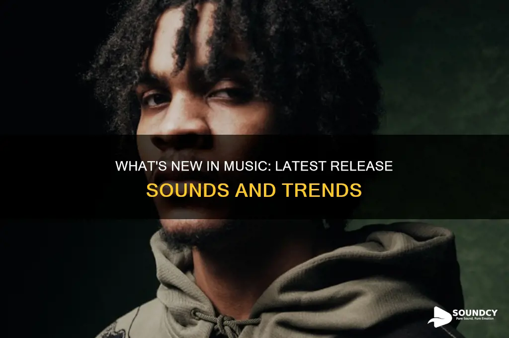 what it sounds new release