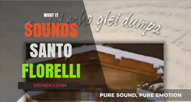 Unveiling the Enchanting Sounds of Santo Florelli: A Musical Journey