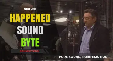 Decoding the Chaos: Unraveling the 'What Just Happened' Sound Byte