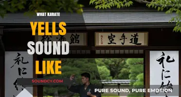 Decoding the Powerful Sounds of Karate Yells: What They Mean