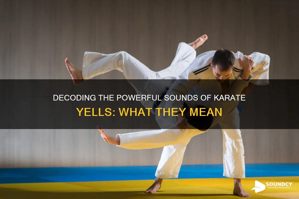 what karate yells sound like